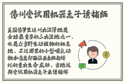 部长让我七天失去理智